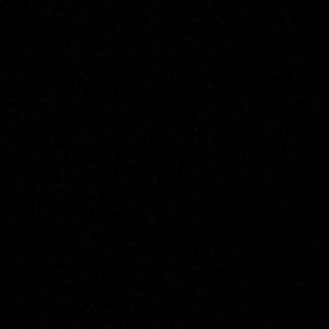 Meet your Posher, Jack